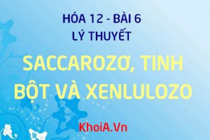 Saccarozơ, Tinh bột, Xenlulozơ Cấu tạo phân tử, tính chất hóa học của Saccarozơ, Xenlulozơ - Hóa 12 bài 6